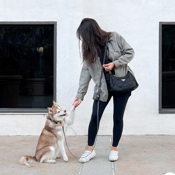 Sunny Tails Lavender Haze 4-IN-1 CONVERTIBLE HANDS FREE CLOUD DOG LEASH - Picture 6 of 7